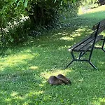 Suri Bau Apartmán *