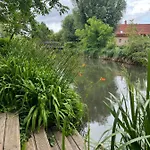 Suri Bau Mosonmagyaróvár