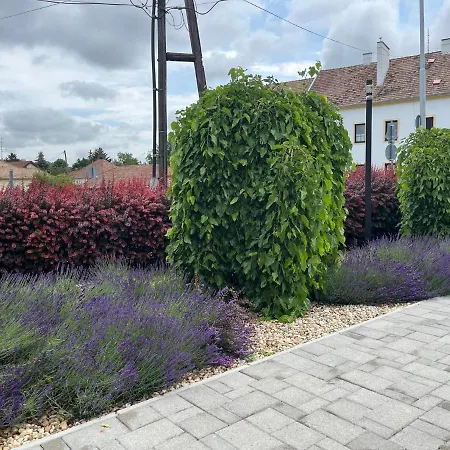 Suri Bau Apartament Mosonmagyaróvár